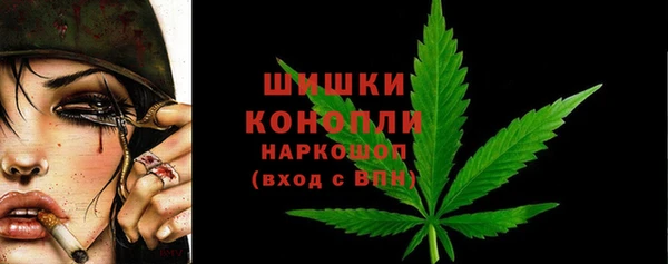 Альфа ПВП Верея