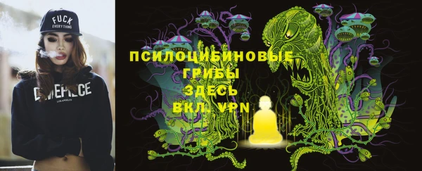 Альфа ПВП Верея