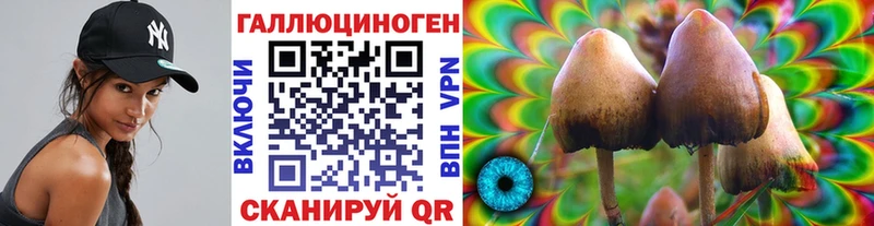 omg зеркало Горбатов Галлюциногенные грибы прущие грибы